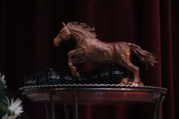 دومین جشنواره شهرنما (103)
